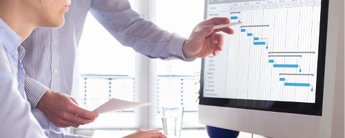 Project Management Industrial y de Servicios
